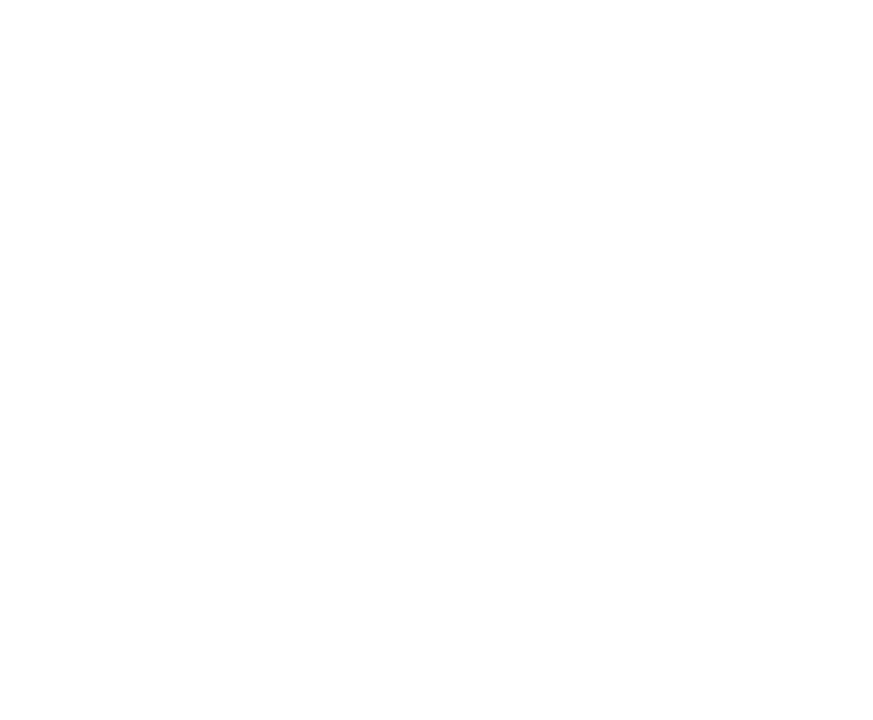 Feed the Hungry